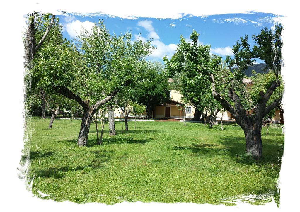 Farm stay Azienda Agrituristica Tenuta Valviola Amiternum